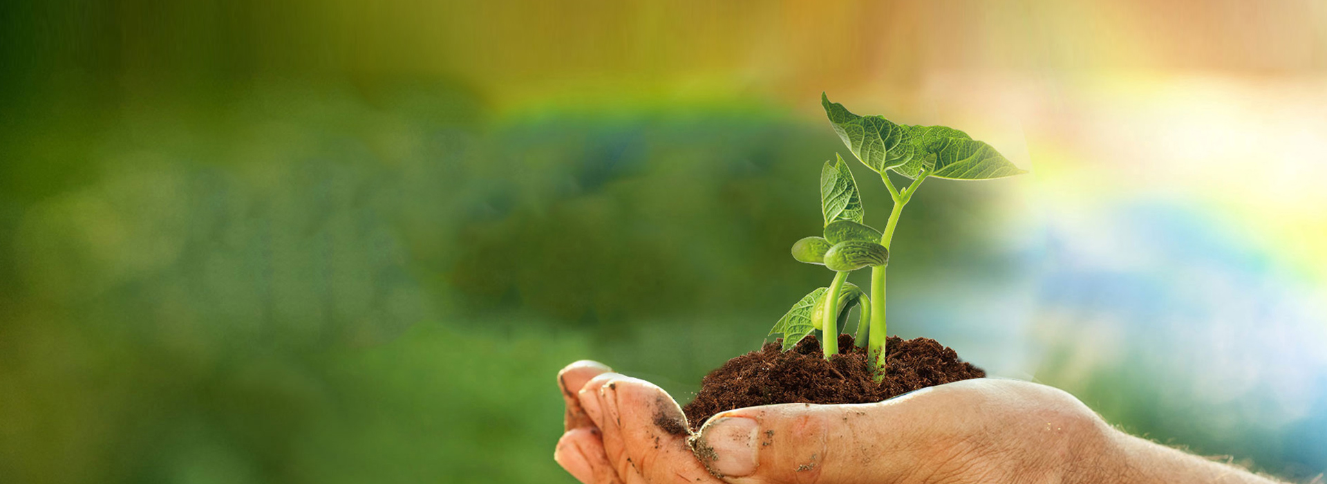 bet8·(股份)有限公司官网