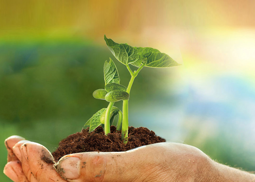 bet8·(股份)有限公司官网