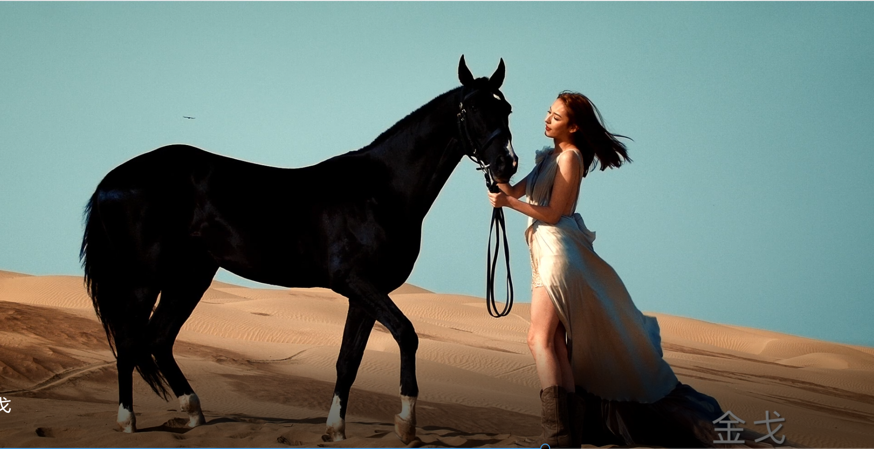 0033990威尼斯金戈