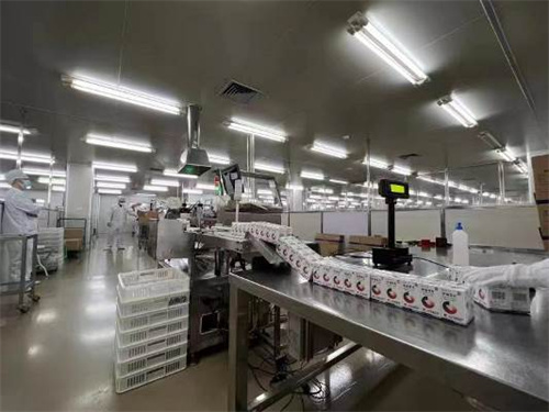 0033990威尼斯(中国)有限公司 -Best Of Best