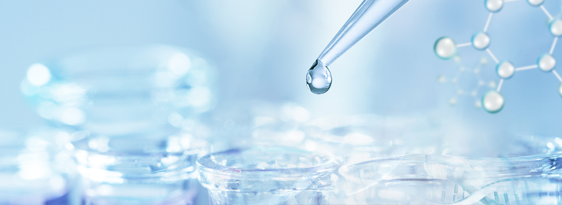 bet8·(股份)有限公司官网