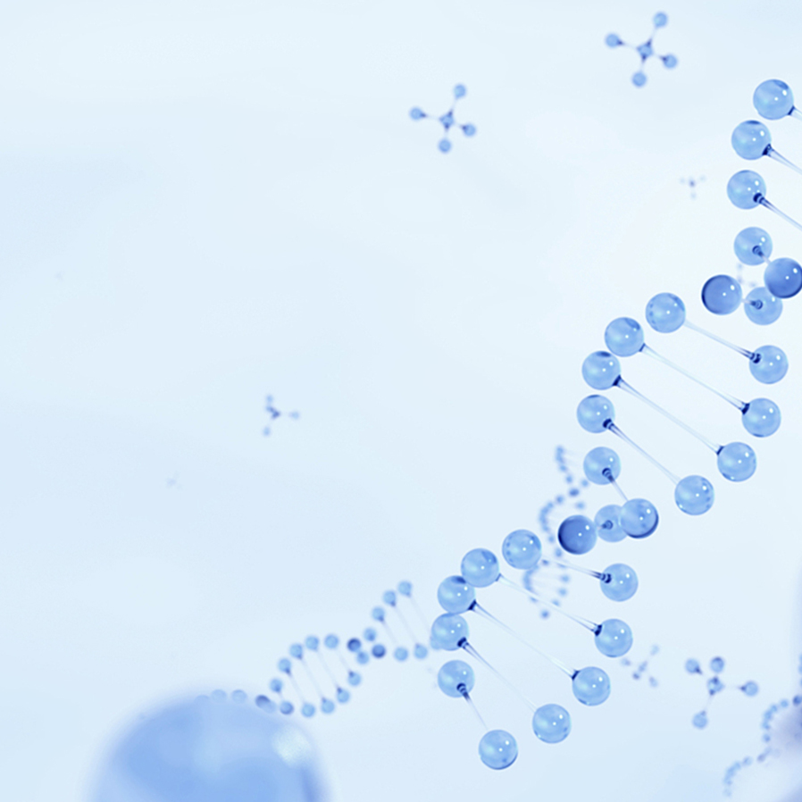 bet8·(股份)有限公司官网